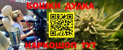 Альфа ПВП Бийск