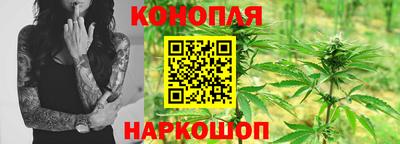 Альфа ПВП Бийск