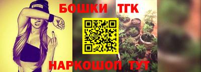 Альфа ПВП Бийск