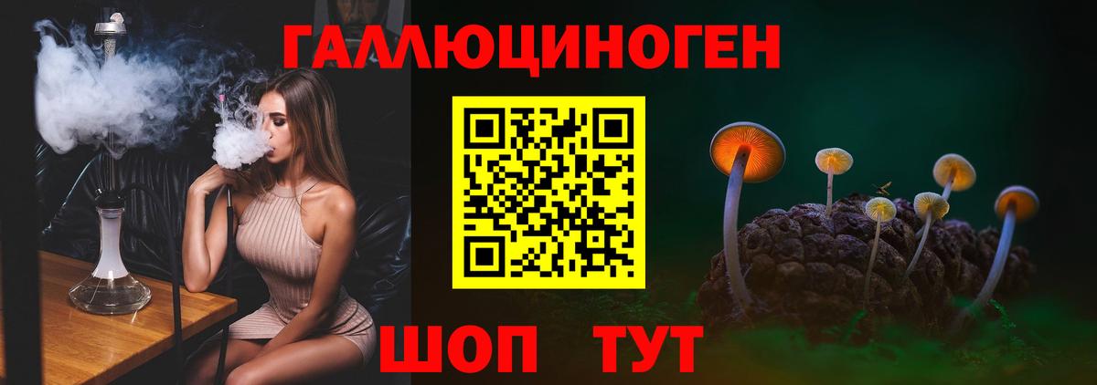 Псилоцибиновые грибы Psilocybine cubensis  Вход с VPN  Псилоцибиновые грибы мухоморы  Выкса 